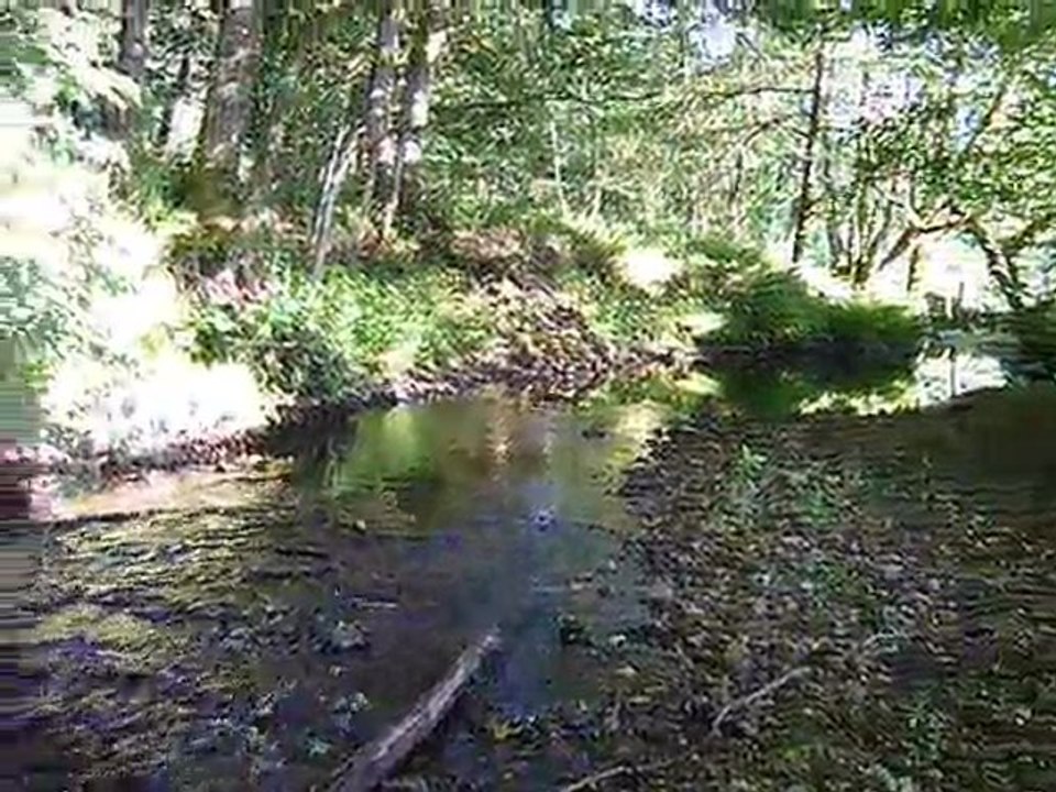Le Miodet proche de Saint Dier d'Auvergne