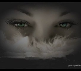 Ali Asker - Metrisin önü