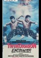 Twin Dragon Encounter (1986) - 
