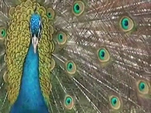 Mahsun karakuş ÖYLE ZORKİ İNSANLARI ANLAMAK