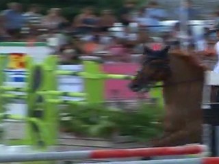 Equidays concours saut d'obstacles CSI Canteleu Haras du loup 2010