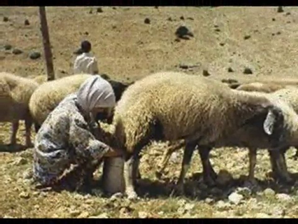 Arif Sag işte gidiyorum çeşmi siyahım Serbülent öztürk yapımı