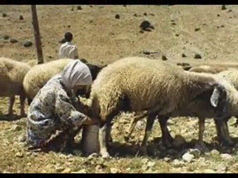 Arif Sag işte gidiyorum çeşmi siyahım Serbülent öztürk yapımı