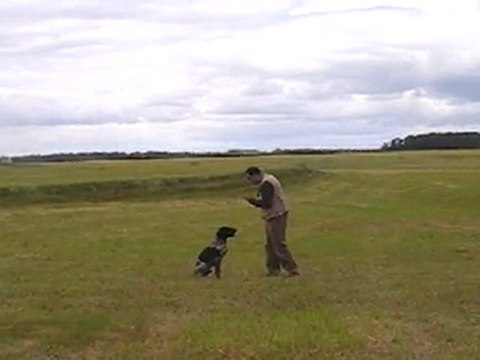 1ère Etape apprentissage assis à distance