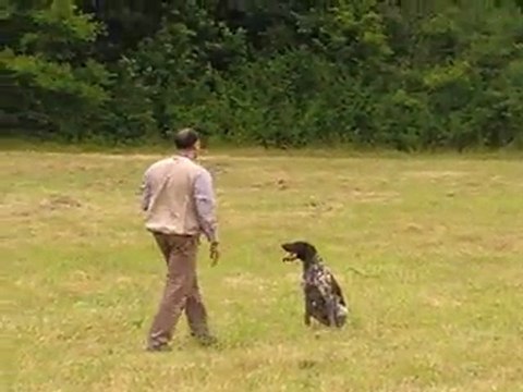 2ème étape d'apprentissage de l'assis à distance