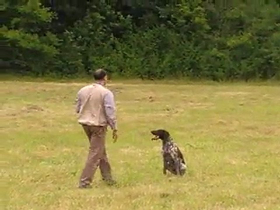 2ème étape d'apprentissage de l'assis à distance
