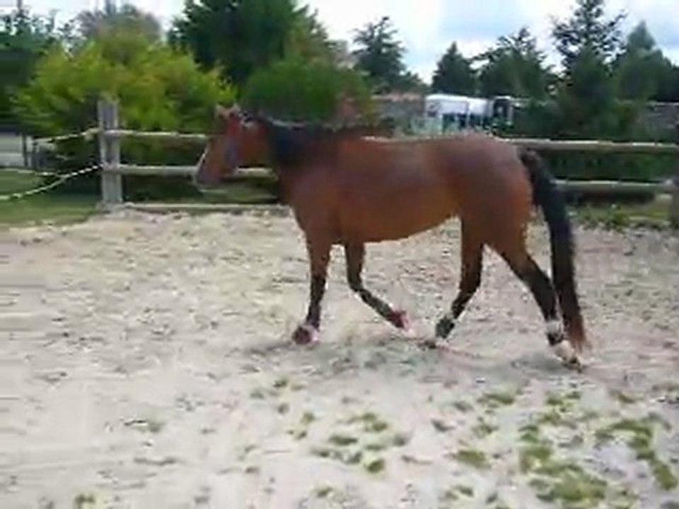 Boiterie.MOV