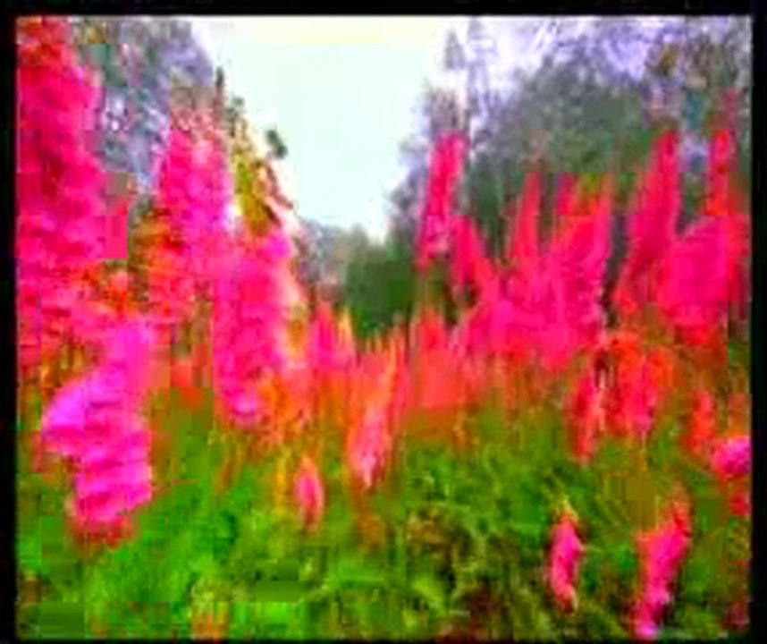 Darwinizm'in çöküşü