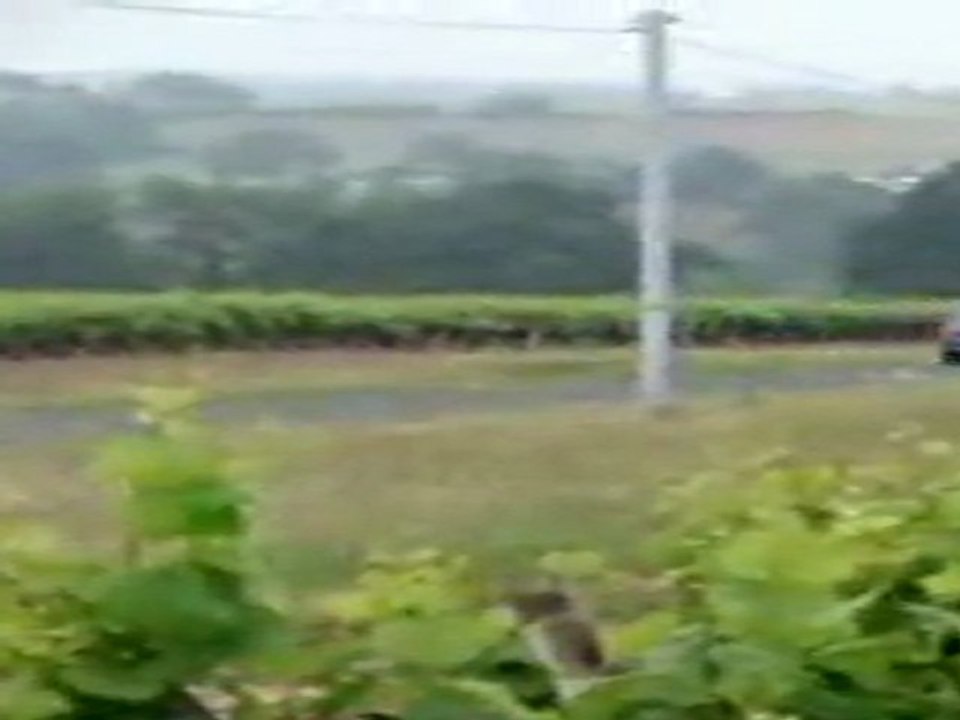 4ème Rallye du Vignoble Sèvre et Maine