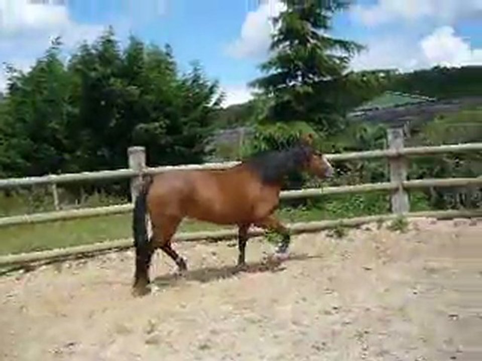 Boiterie2.MOV