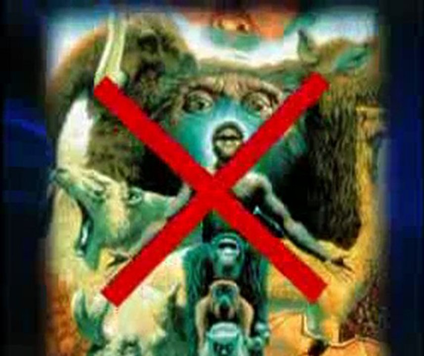 Nicolas Sarkozy yaratılışı destekliyor