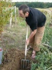 Economie Autonomisante, Activité, Autogestion, Nature ... 63