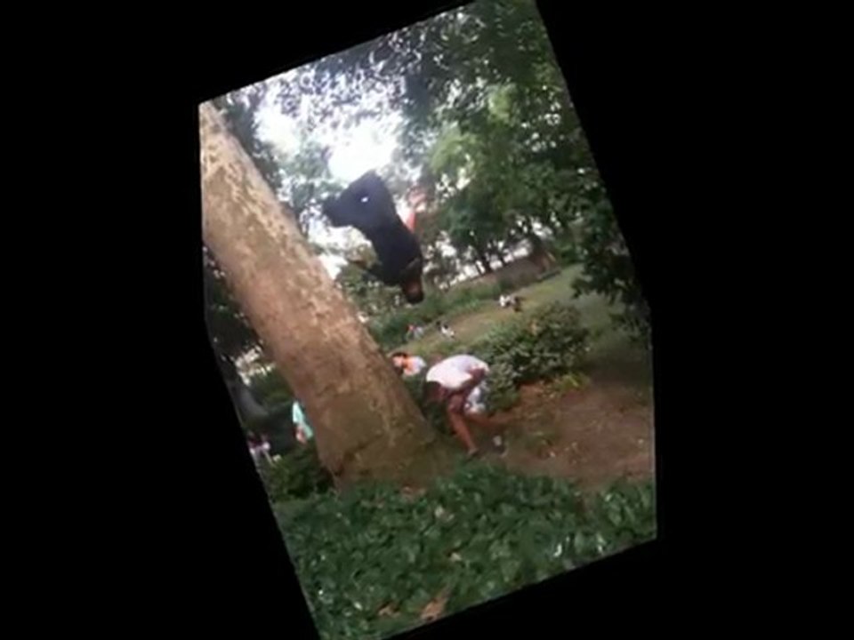 parkour et free running de la jst !
