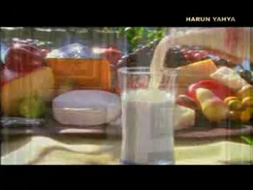 Şükredenlerden olmak inananların vasfıdır