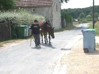 11.07.2011.3 ème sortie pour Tliloa