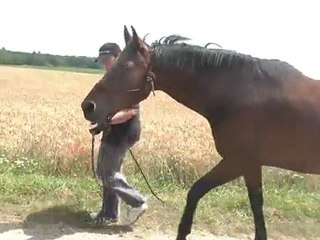 11.07.2011.3 ème sortie pour Tliloa