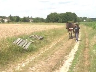 11.07.2011.3 ème sortie pour Tliloa
