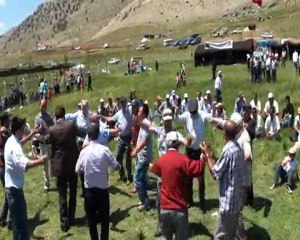 Sebile CAN Çek deveci develeri nadastan.