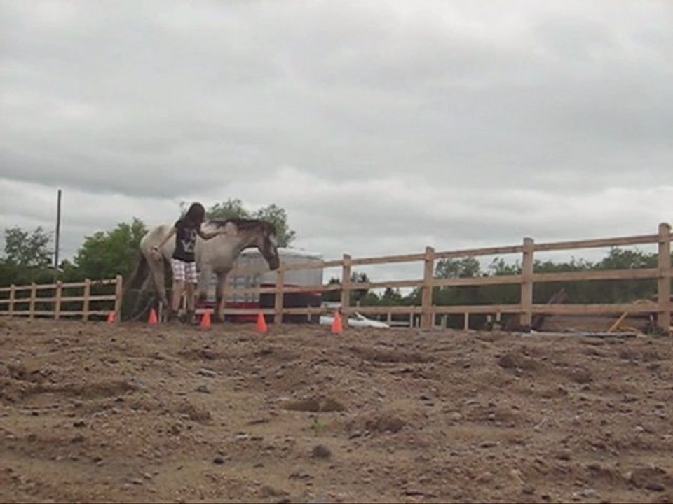 Éthomagie - Défi #2