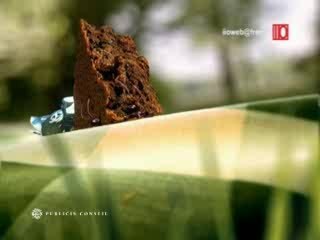 BN - Les fourmis