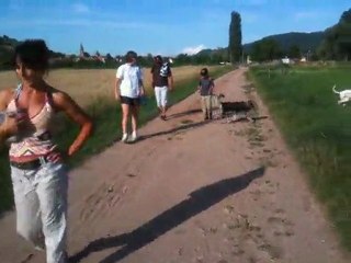 Shauadii en liberté avec les copains