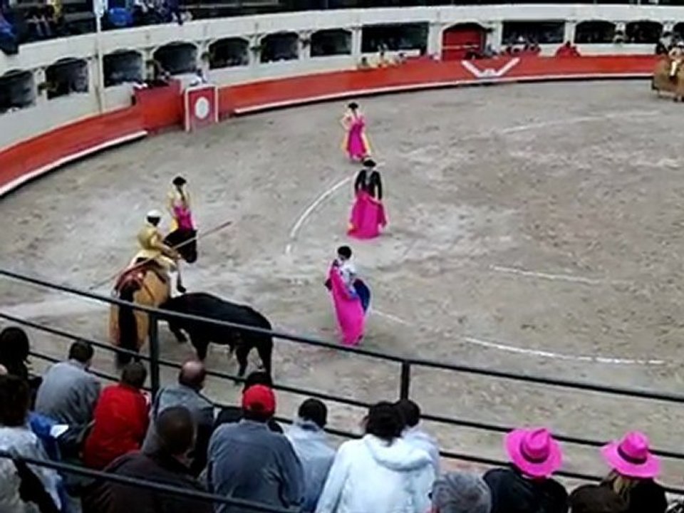 Un toro vraiment impossible