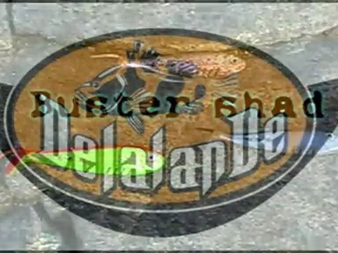 Delalande Pêche Buster Shad soft lures
