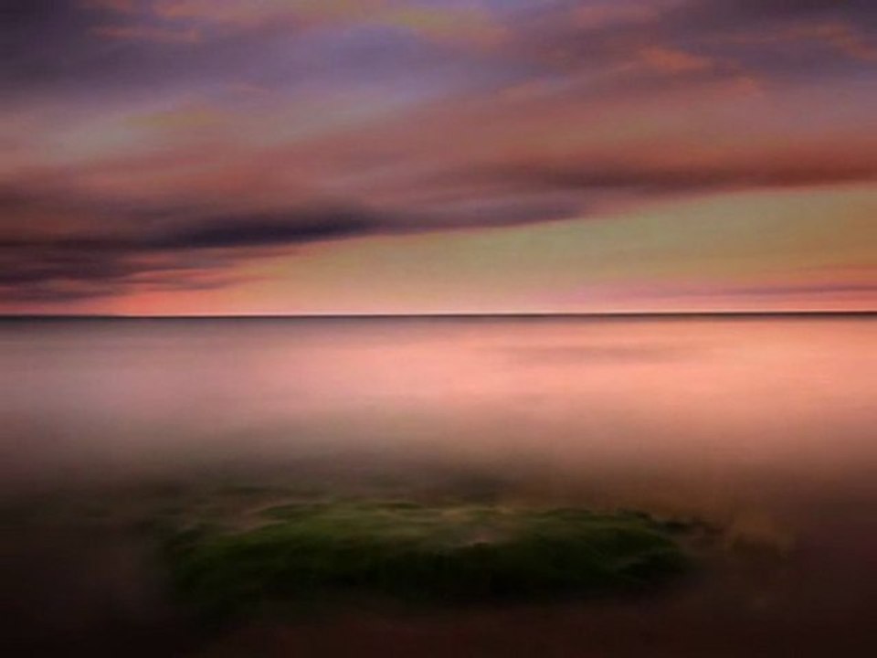 Matt Gibson. Reminiscence