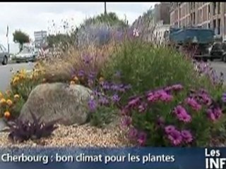 Normandie TV - Les Infos du Lundi 11/07/2011