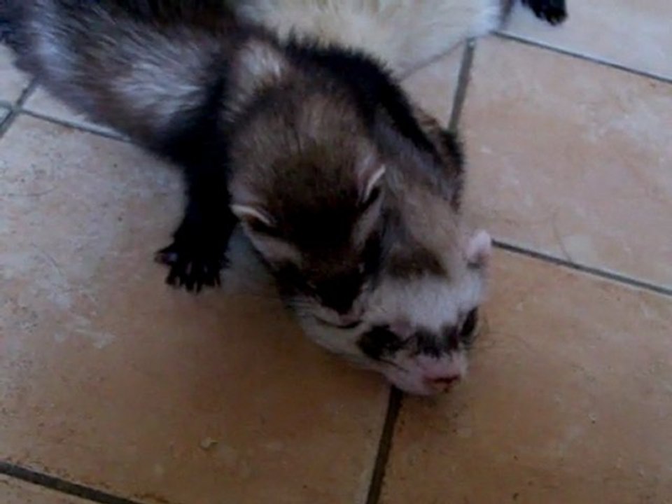 11 juillet 2011, on se rassure comme on peut....