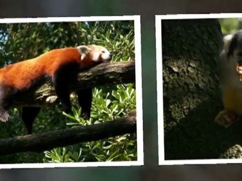 ZOO des sables d'ollone