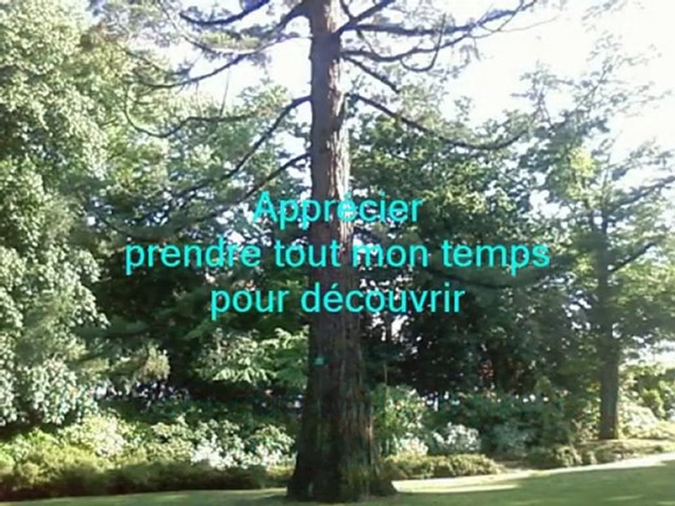 Poème : CARPE DIEM