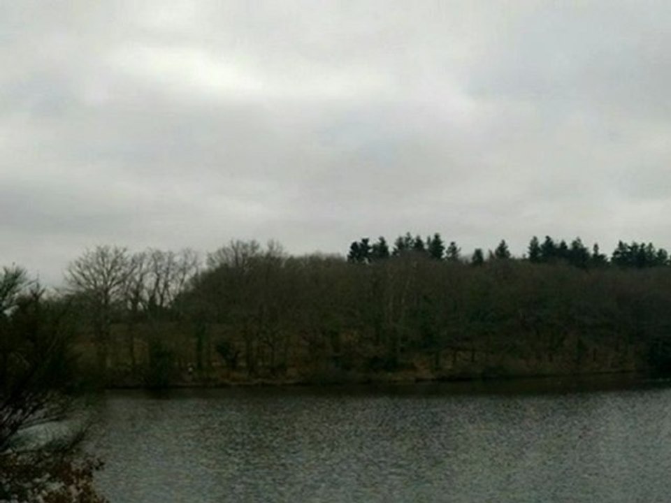 savenay : Loire Atlantique