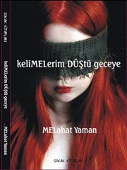 Kelimelerim düştü geceye - Ahmet Karakayan
