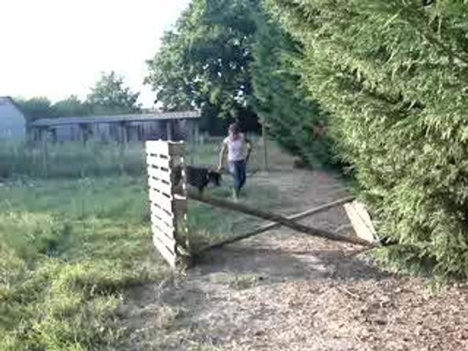 uther saut