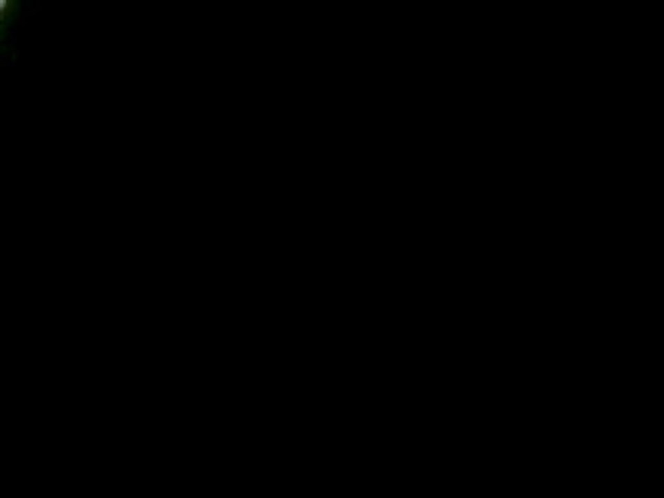 MOV04245