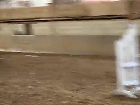 Set , hongre SF A VENDRE.