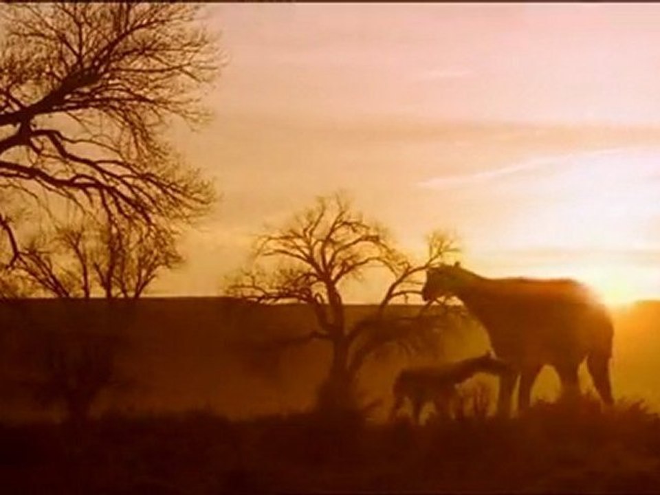 Die Erben der Saurier E03 Im Land der Giganten