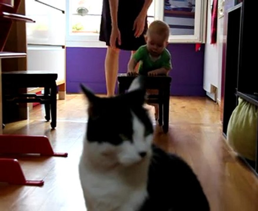 Martin à roulettes sans roulettes