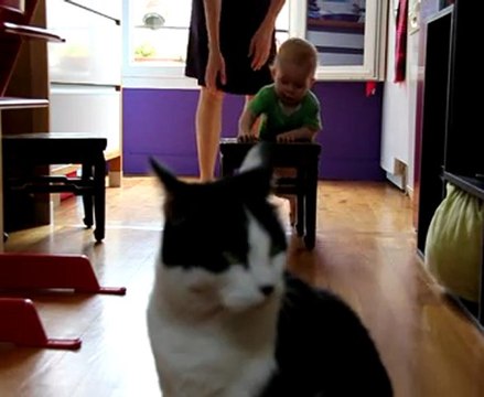 Martin à roulettes sans roulettes