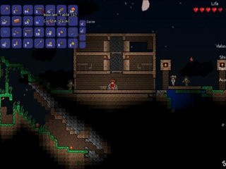 Terraria Episode 3-Je suis Architecte.....ou pas !