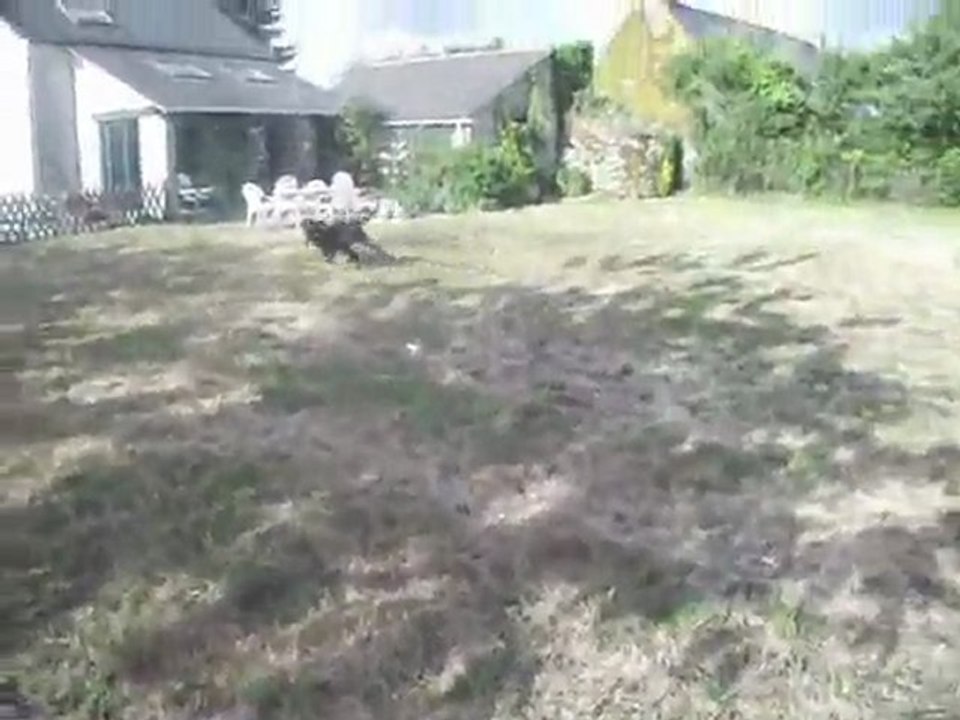 jeudeballon_0001