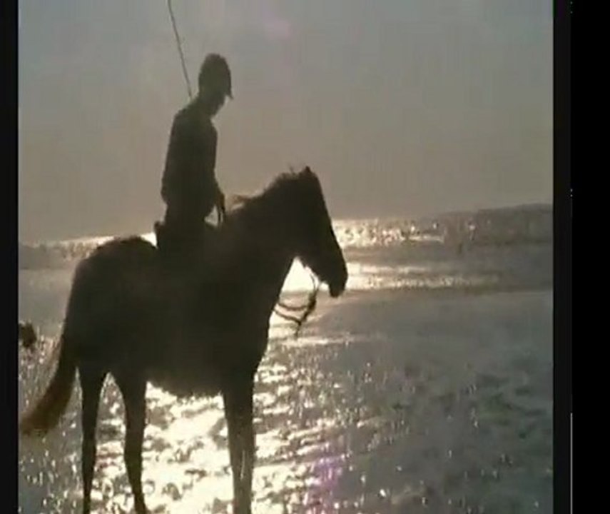 Cabourg II