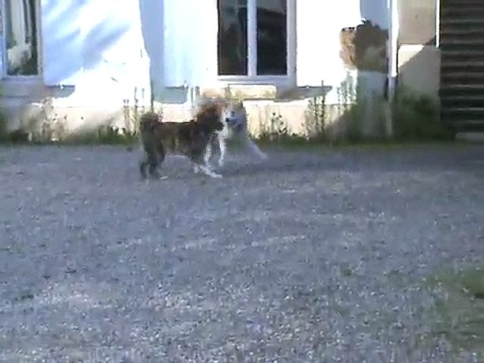 Jeux Tsankha et Daïsuki 1