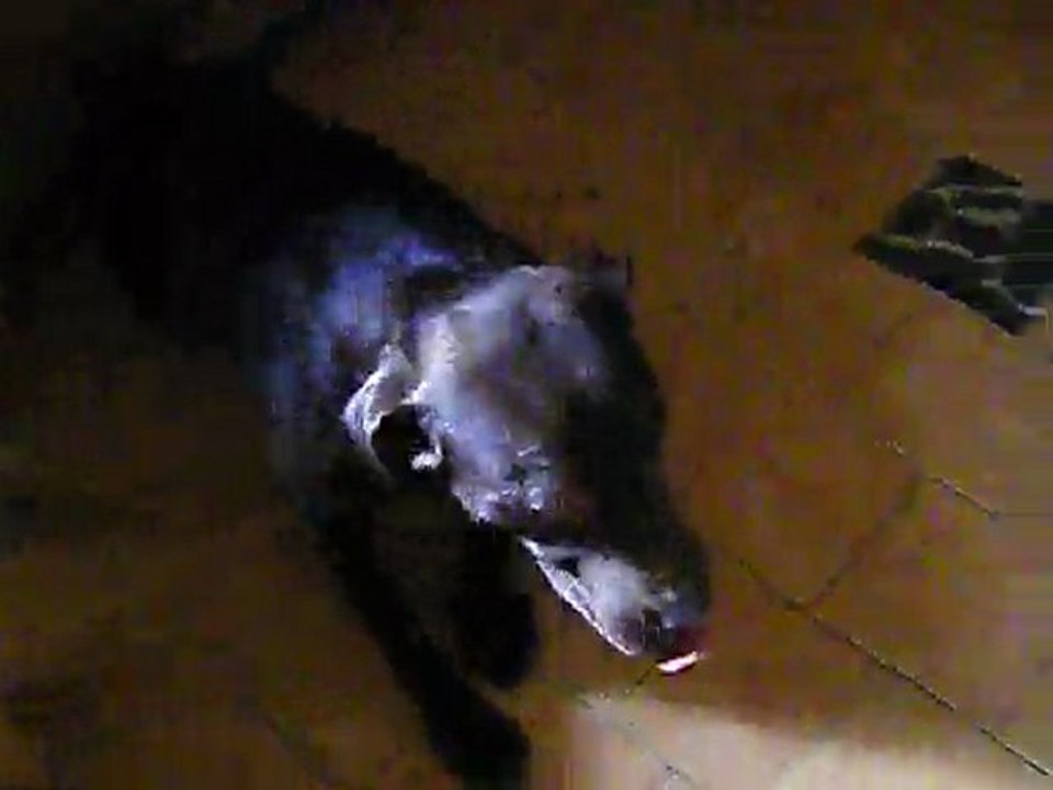 Banjo, "A table!"