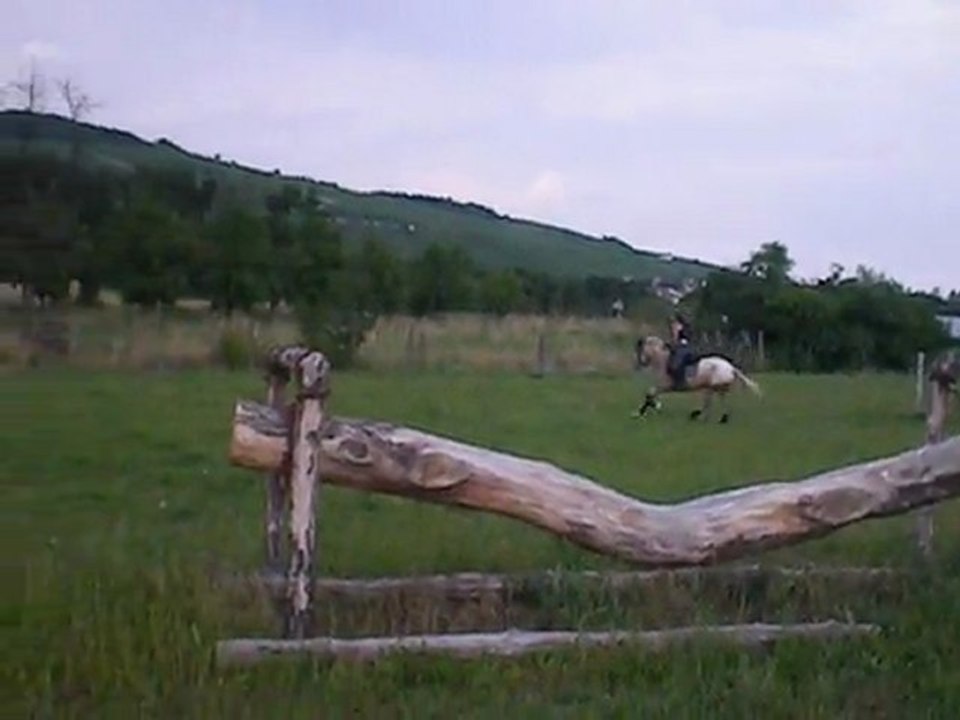 oxer