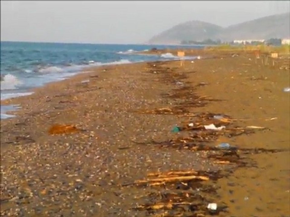 Anamur: Schildkrötengelege 21072011