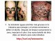 Procedimientos al hacer un tatuaje (diseños de Tatuajes 2da. parte) (dibujos, diseños, tatuajes)