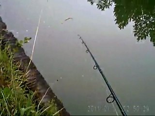 action-peche-plomb-palette