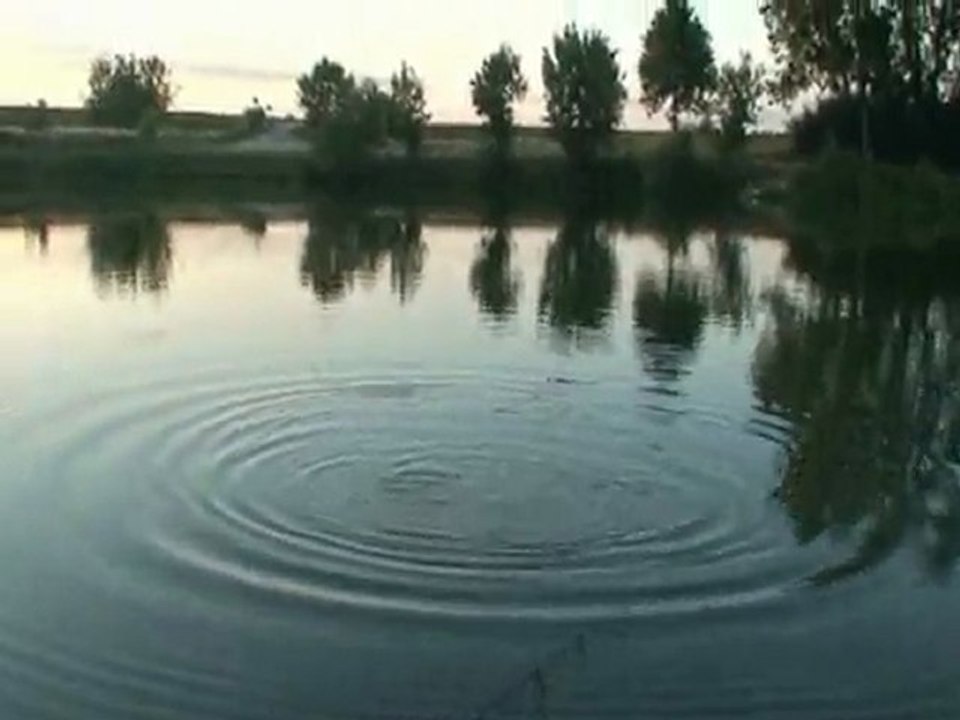 LPMP Baits - Bouillette P44 pub